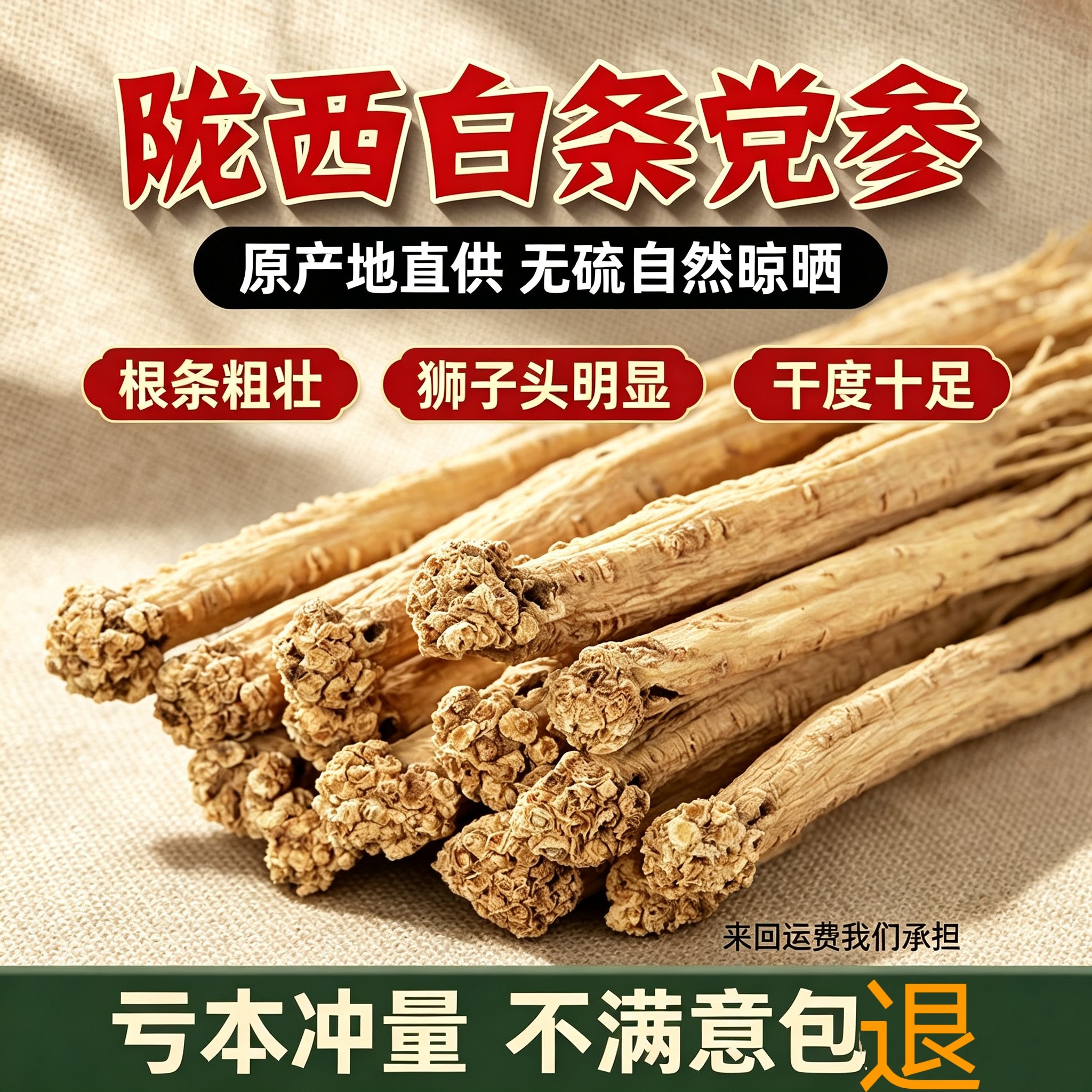 甘肃产地正品甘肃党参