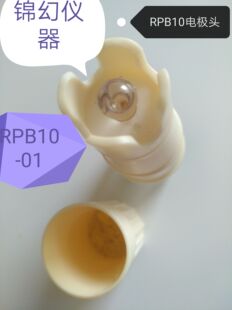 电极头 PH计 电极 探头 笔式 RPB10 酸度计