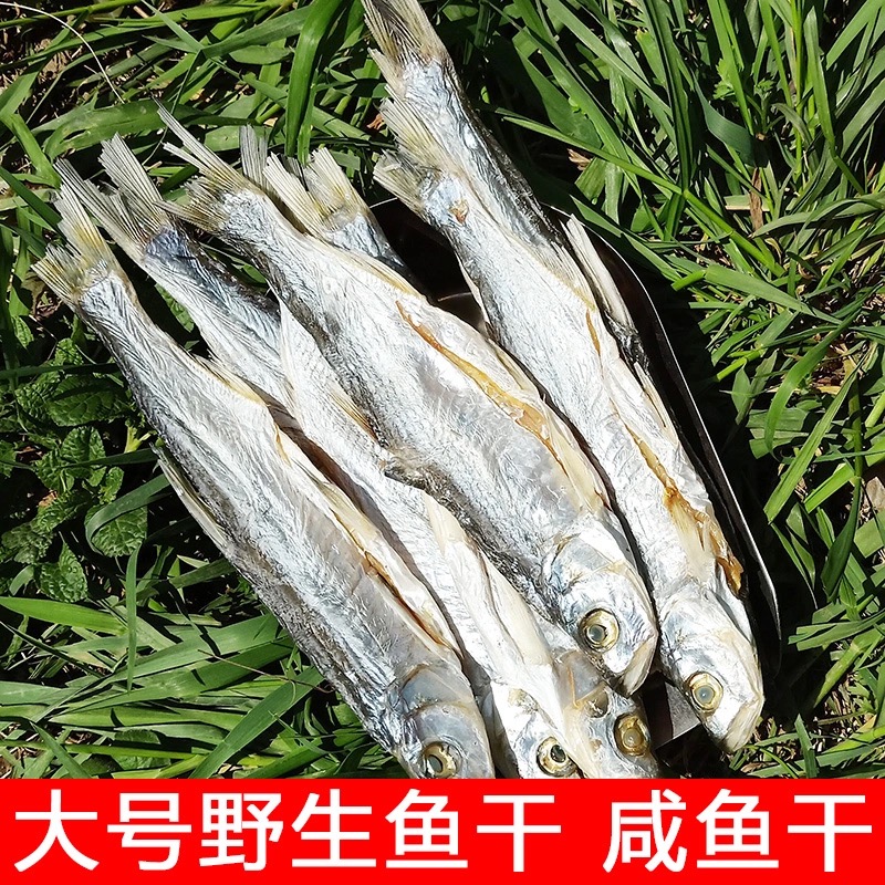 安徽特产正宗500G包邮翘嘴鱼干