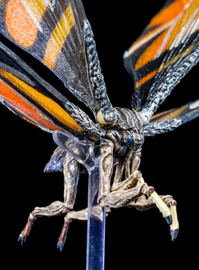 跨境7寸NECA 哥斯拉 怪兽 魔斯拉 Mothra 拉顿 手办恐龙模型 摆件