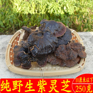 野生紫灵芝250g整枝灵芝干货泡酒煲汤药材可切片磨粉非灵芝孢子粉