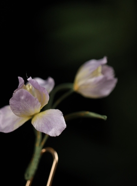 仙美淡紫色鸢尾 手工绒花u型发簪国风少女盘发丸子头日常簪子头饰