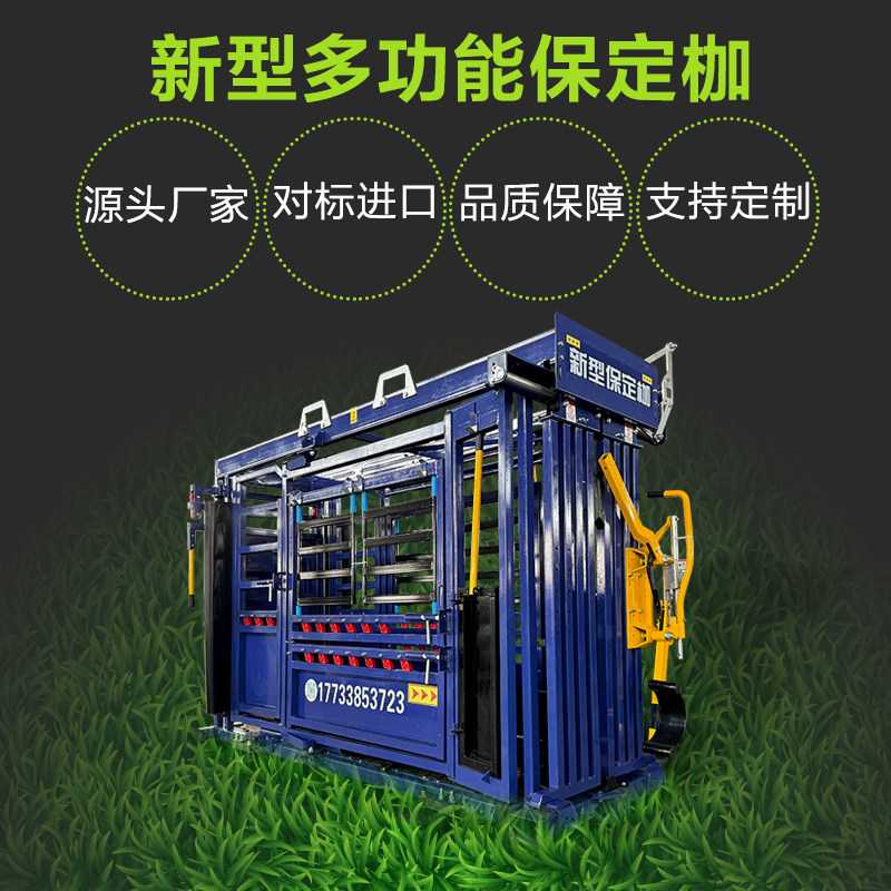 新型牛用保定架 配种打针手术牛体绑定架固定 称重检测防疫通道门