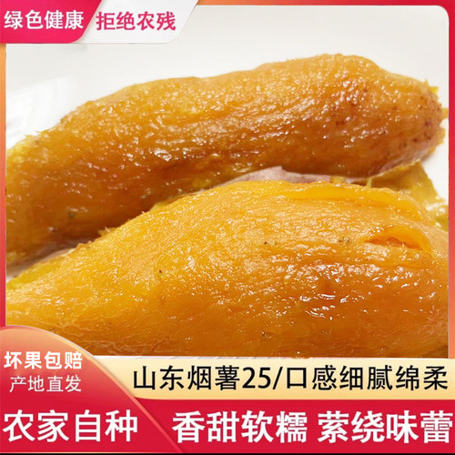 红薯烟台软糯香甜烤着流油