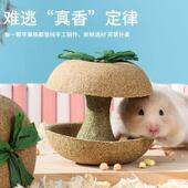 仓鼠苹果核磨牙棒磨牙石金丝熊食物和小零食玩具专用躲避造景用品
