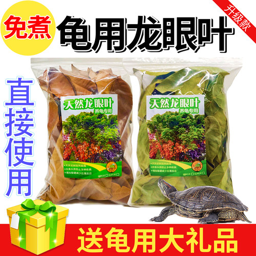 原生态预防改善乌龟缸环境龙眼叶