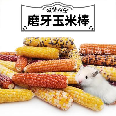 仓鼠磨牙玉米棒粮食迷你小玉米