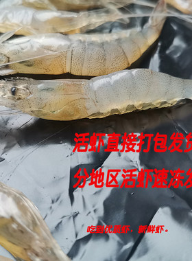 白米虾小白虾野生海捕