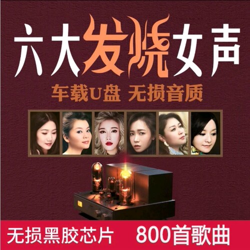 HIFI发烧人声试音音乐U盘