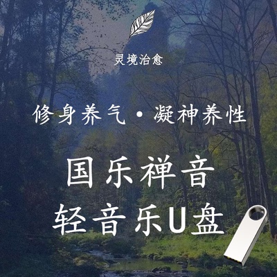 精选轻音乐U盘茶馆养生馆餐厅