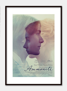 菊石Ammonite凯特·温丝莱特西尔莎·罗南同性爱情电影海报装饰画