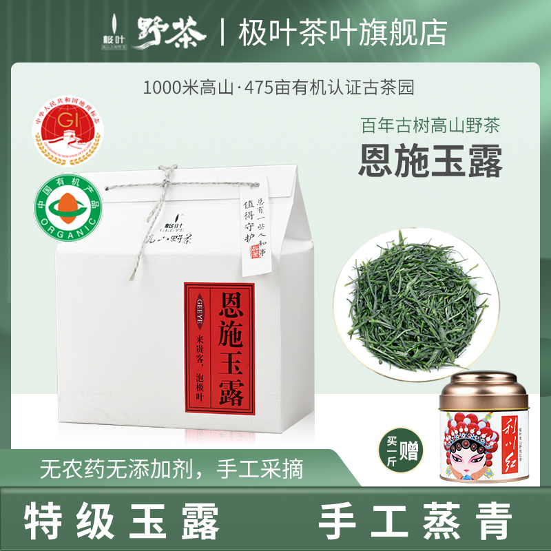 2024明前新茶恩施玉露有机绿茶叶高山云雾野放古树茶蒸青毛尖250g 茶 特色产区绿茶 原图主图