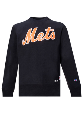 CHAMPION男休闲圆领套头卫衣男士秋冬XY降价