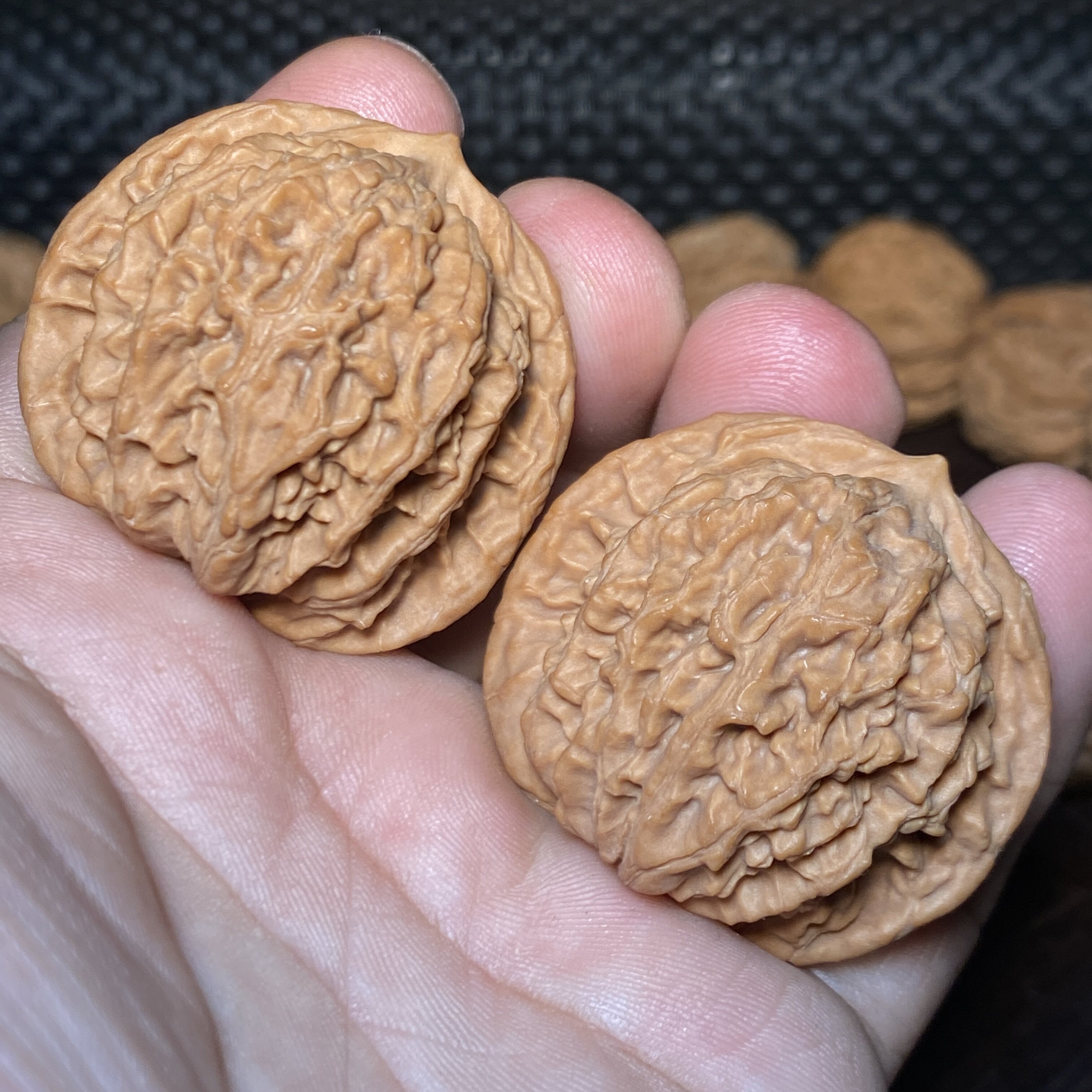 A6盘龙纹老款狮子头41尺全品文玩核桃一物一图红皮老树果纹路流畅