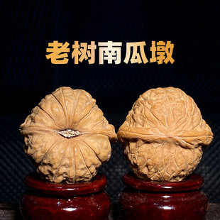25年南瓜墩44尺文玩核桃一物一图实物拍照真核桃男士 凹底 老树矮装