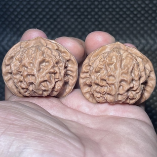 玉玺宫灯狮子头44尺文玩核桃一物一图老树红皮山地果纹理浅易把玩