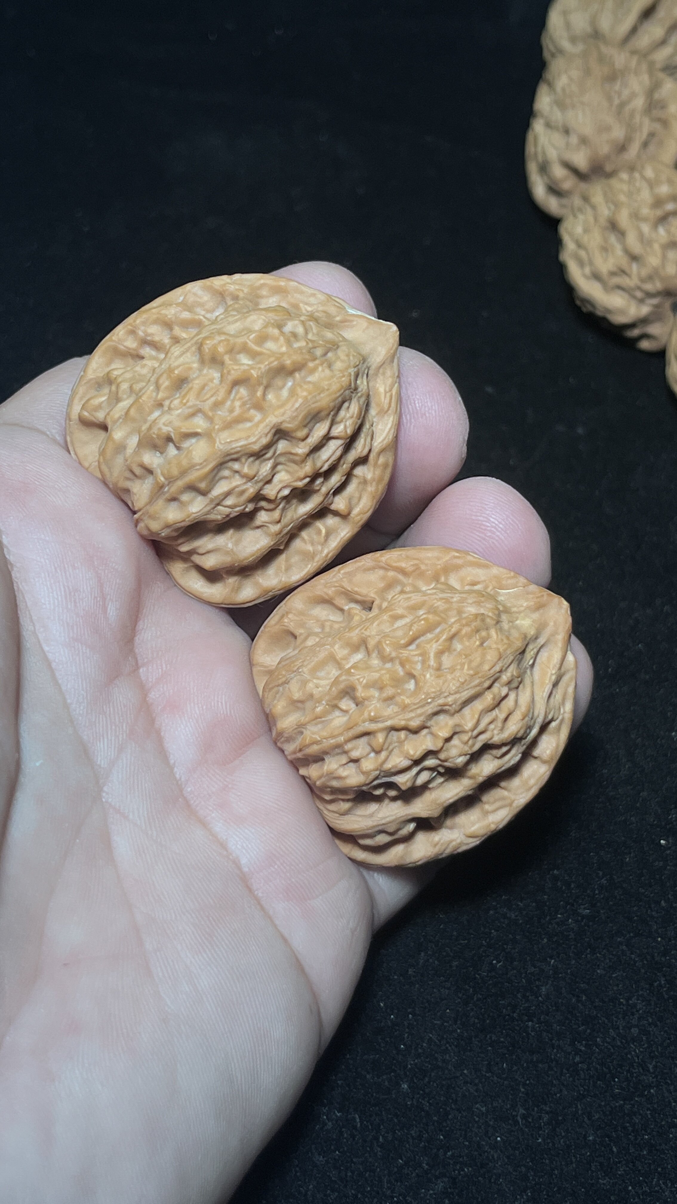 文玩核桃崔凯公子帽39尺一物一图水晶蜡皮全品一字底