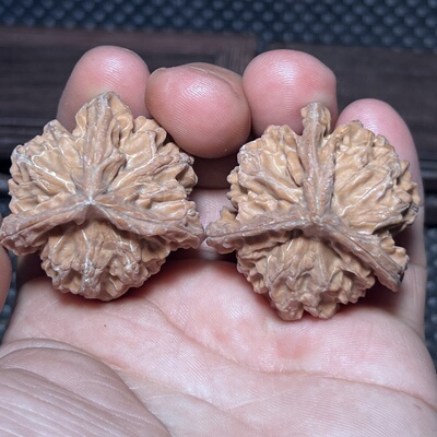 盘山三棱38尺全品文玩核桃老树红皮山地果