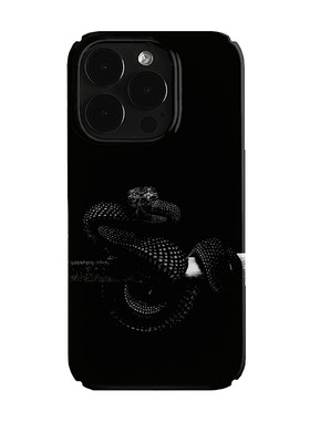 暗黑毒蛇艺术小众适用高级感卡通iPhone16pro+苹果15promax菲林手机壳新款13/1214proVIVO90