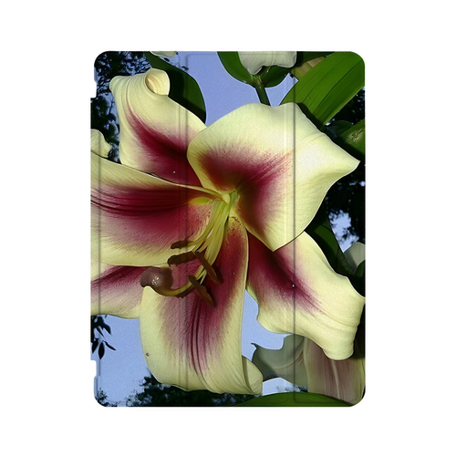 暗夜花朵Y2K艺术ins小众适用平板壳iPad7/8/9/10壳2020带笔槽Air2/3/4/5苹果2021第九代11Pro三折min