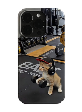 卡通健身猫咪艺术小众适用高级感卡通iPhone16pro+苹果15promax菲林手机壳新款13/1214proVIVO90