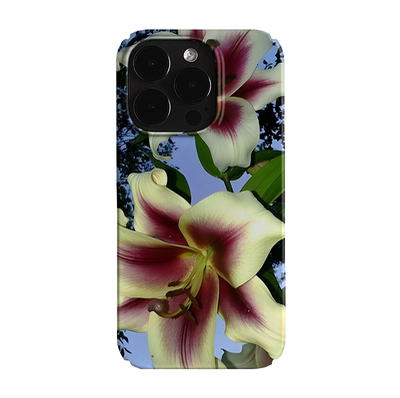 暗夜花朵潮流复古艺术小众适用高级感卡通iPhone14pro+苹果15promax菲林手机壳新款13/12荣耀100