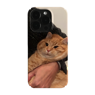 萌宠可爱猫咪艺术小众适用高级感卡通iPhone14pro+苹果15promax菲林手机壳新款13/12VIVO90