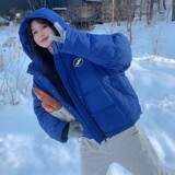 现货主推，克莱因蓝短款羽绒服外套077-2202-P155-k238，女装棉衣/棉服，浙宝100