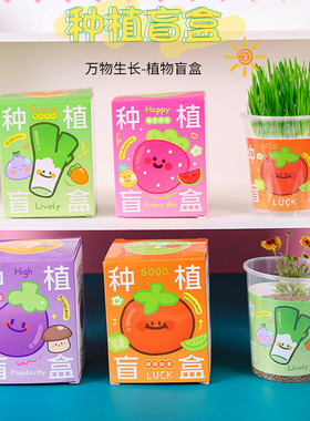 种植盲盒儿童植物盆栽创意玩具小盆栽幼儿园植物小学生种子迷你