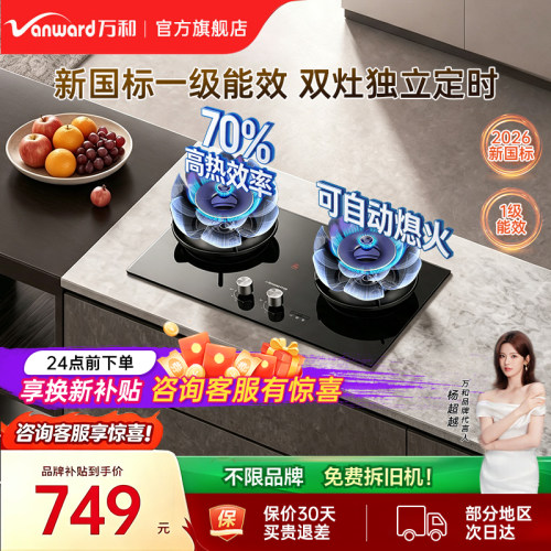 万和燃气灶煤气家用台嵌入式天然液化气定时灶台具官方旗舰店B9DS