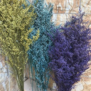 Dry Natural Dried 40g Lover 35CM Decorative Grass Preserv