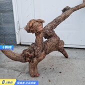 海南降真香百年原材摆件深山大叶原态标本级香材实体店摆放重12斤