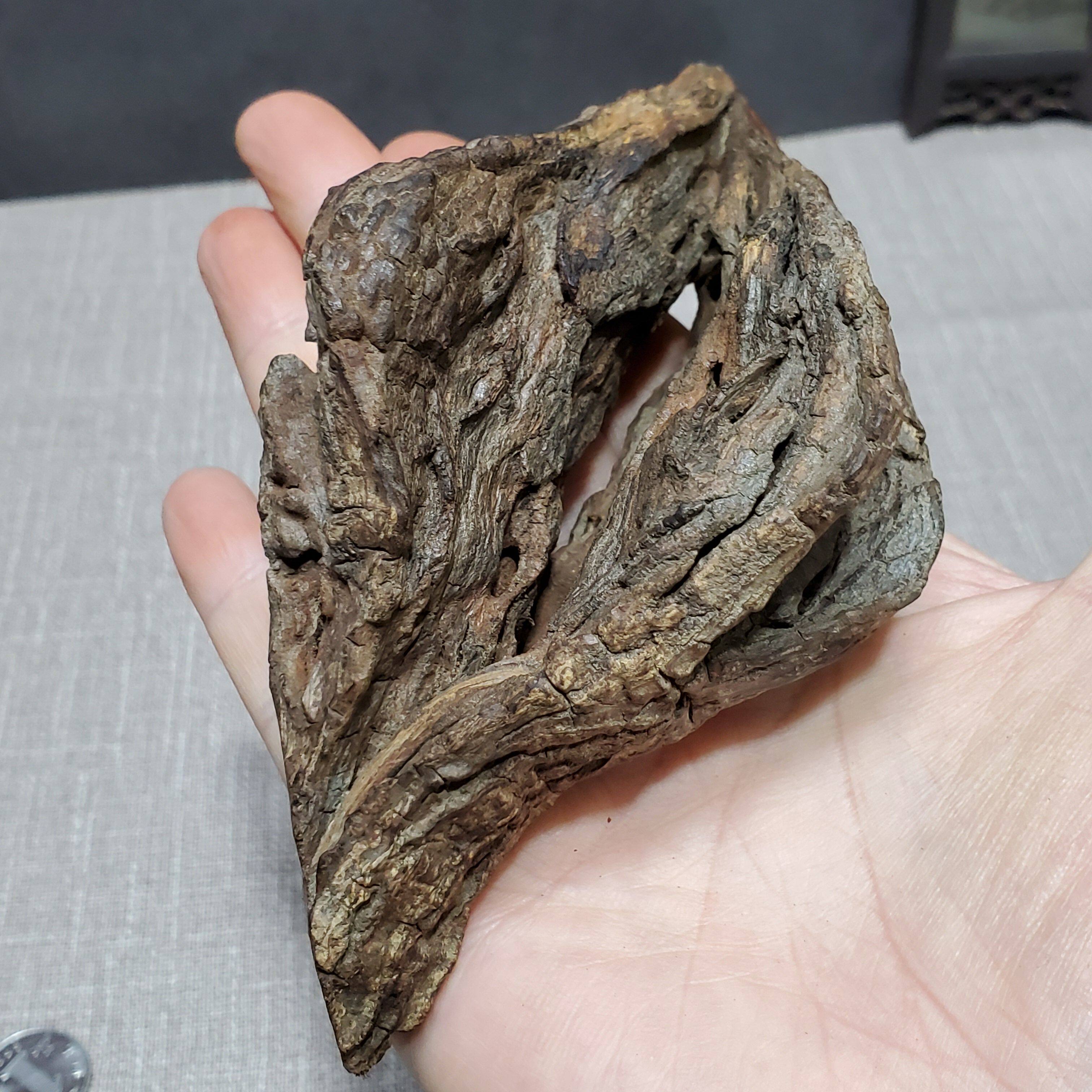 海南降真香深山大叶沉水开花香胆大嘴摆件笑口常开藤本香眼收藏级