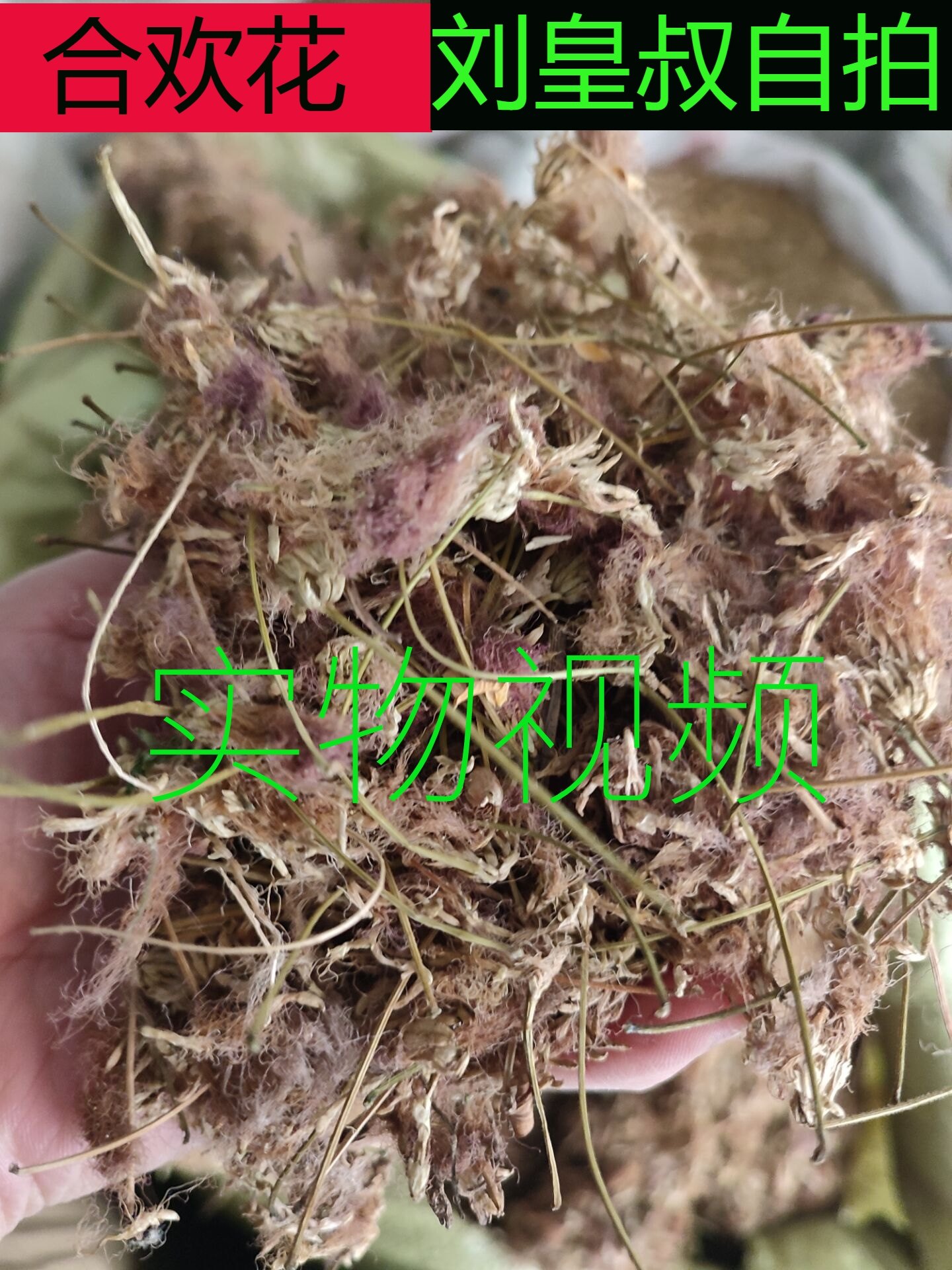 中药材合欢花合欢花夜合欢干合欢500g克合欢花茸无硫新货干品实物