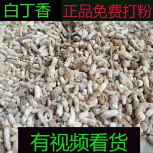 中药材超细粉白丁香粉麻雀粪500克面膜粉药食同源食品食用农产品