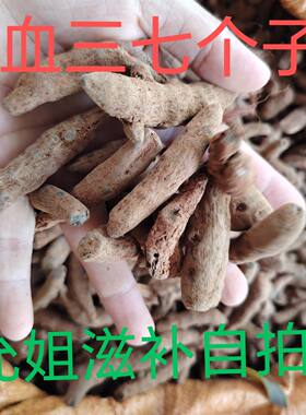 野生血三七云南泡酒料中药材