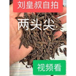 两头尖真品无硫货新货两头尖野生两头尖红背新鲜乌草乌喙一枝蒿