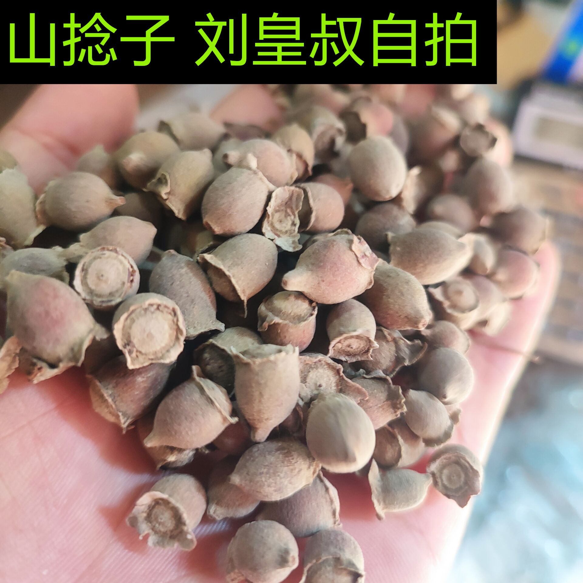 野生山捻子桃金娘捻果多尼果山泡酒果子山捻子鲜果应季水果山念子