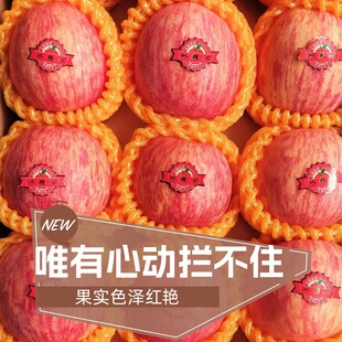 正宗烟台栖霞条纹红富士苹果精品礼盒包装果园直发包邮