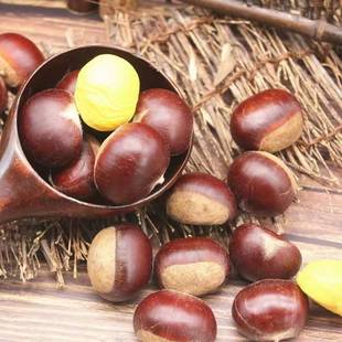 2025新鲜板栗神农架生板栗深山老树大板栗山栗子脆甜粉糯5斤包邮