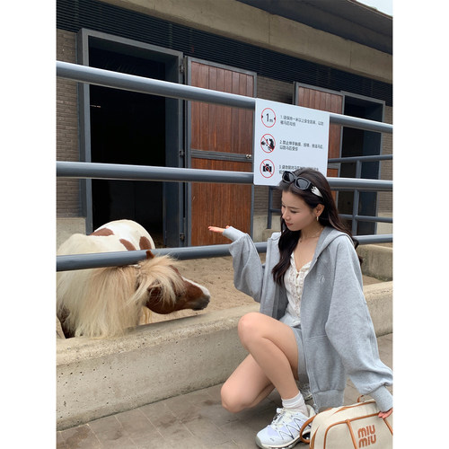 本希benxe 休闲运动套装女春秋季宽松灰色连帽卫衣套装两件套
