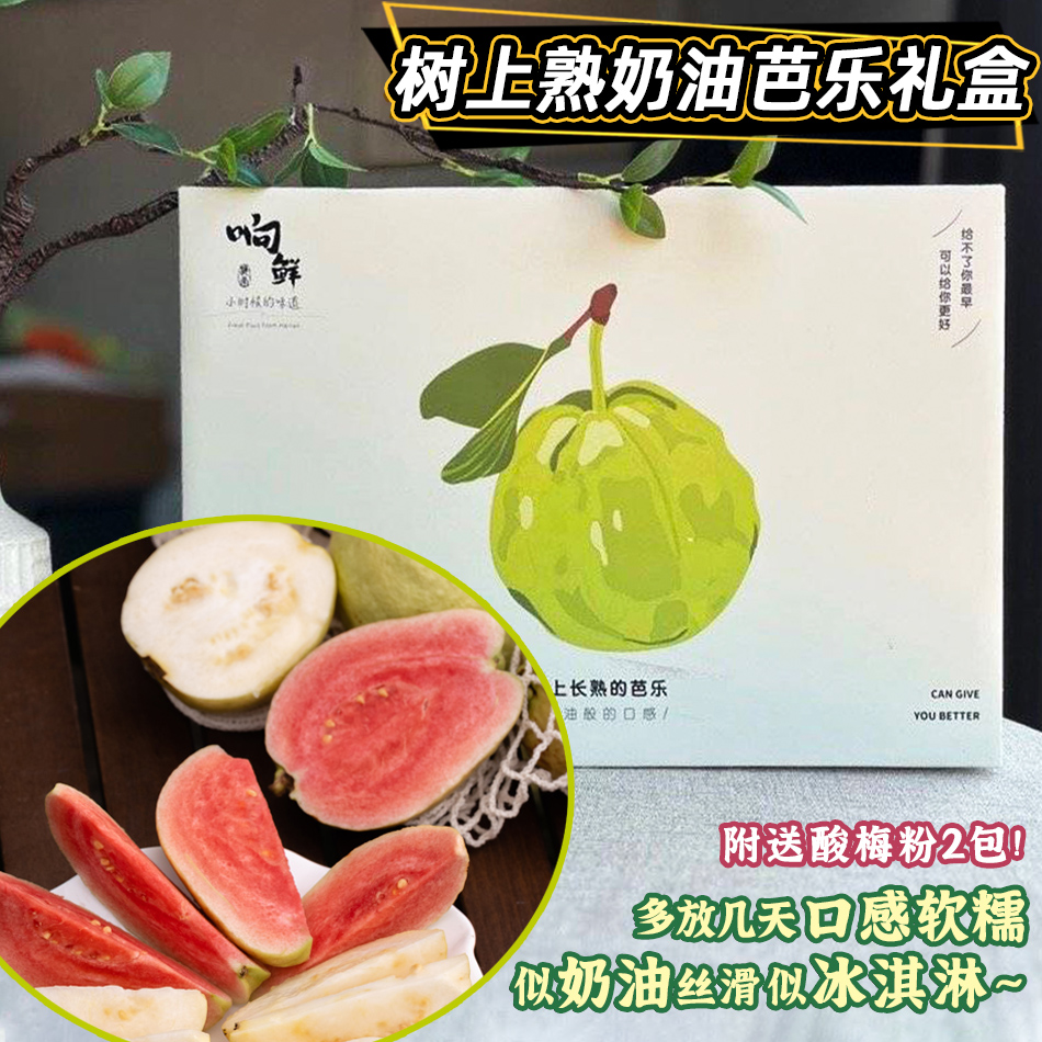 响鲜有机奶油芭乐礼盒新鲜送礼