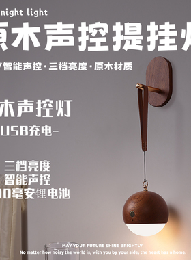 实木智能语音声控小夜灯手提灯USB充电壁灯卧室床头灯壁挂免布线
