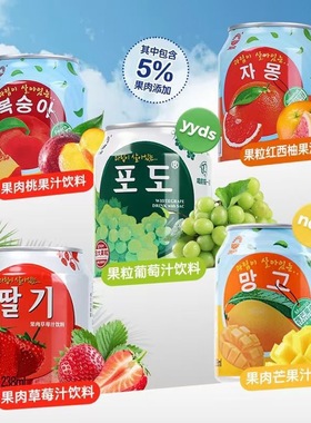 九日牌果肉果汁葡萄草莓黄桃西柚芒果味果肉饮料238ml*10罐组合装