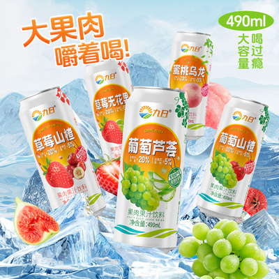 九日果肉果汁490ml多味水果饮品