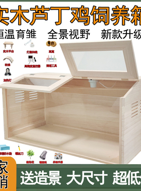 实木芦丁鸡饲养箱专用宠物笼子育雏养殖恒温卢丁仓鼠屋大房子鸡窝