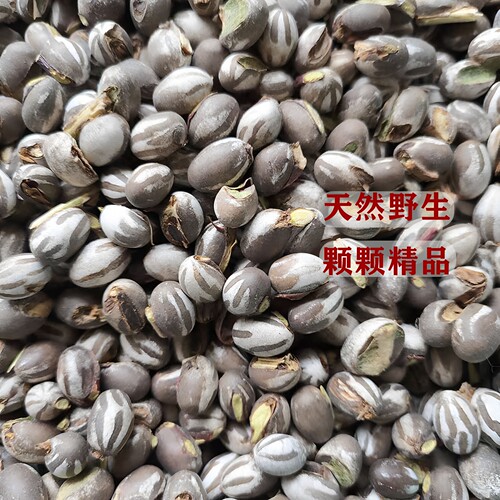 杨拉罐洋辣子罐蛋坦克虫