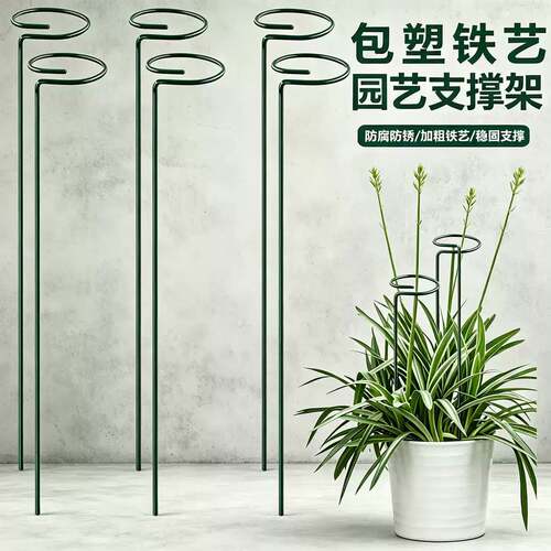 植物支撑绣球蝴蝶兰花架子固定架