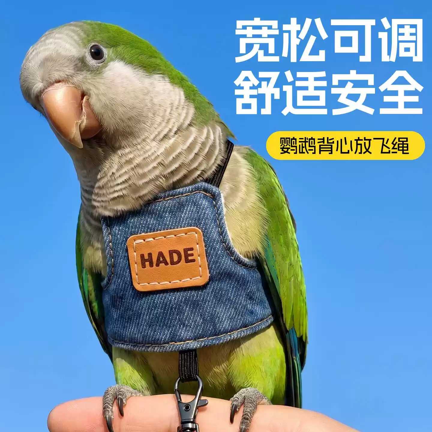 鹦鹉衣服牵引绳放飞绳背心小太阳