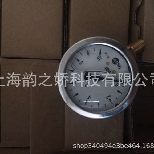 德国TECSIS泰科思机械耐震压力表63径向G1/4 P1454-1mpa  10bar